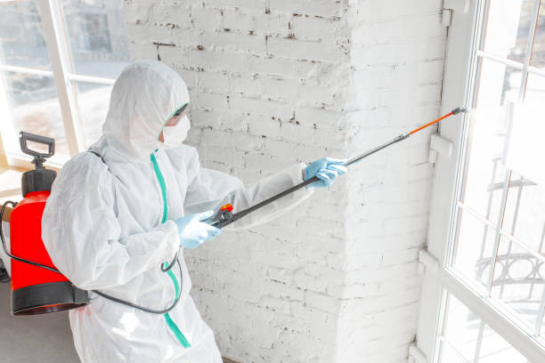 Trusted Port Norris, NJ Mold Removal & Remediation Experts